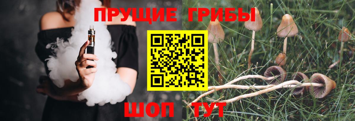наркошоп  Вход с VPN  Сарапул  Галлюциногенные грибы прущие грибы  Псилоцибиновые грибы Psilocybine cubensis 